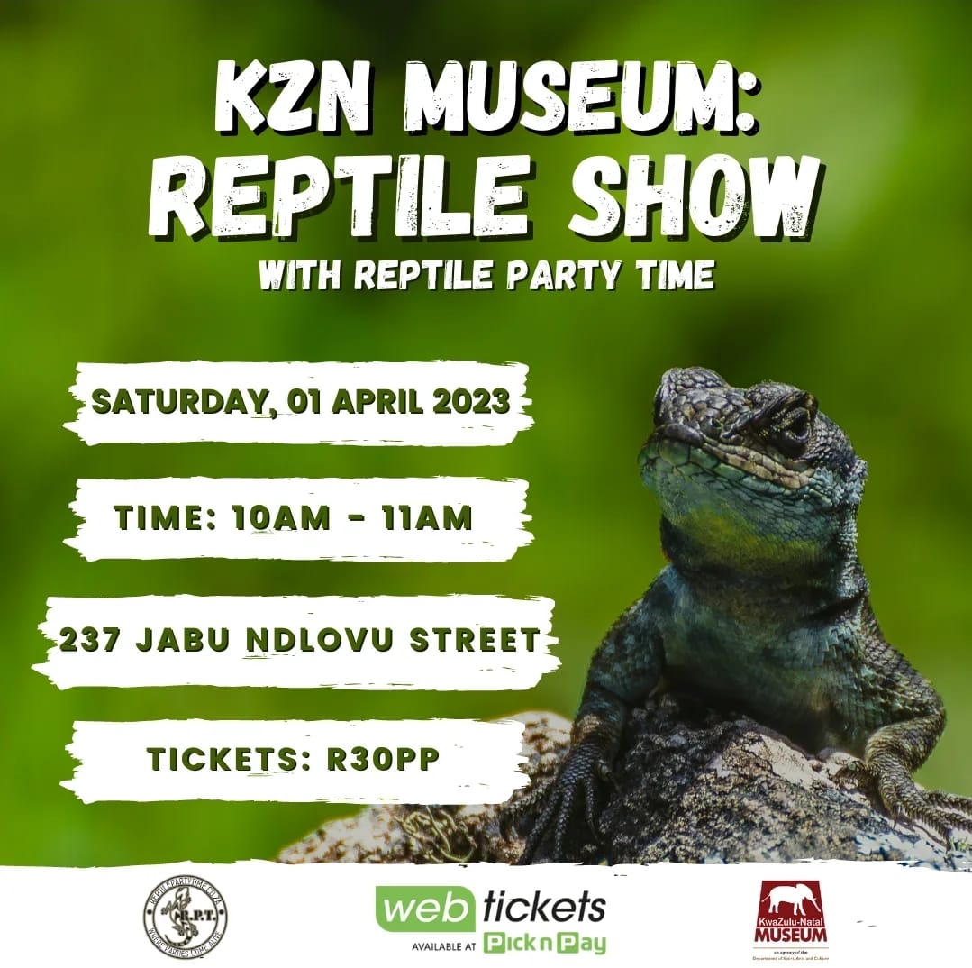 KZN Museum Reptile Shop