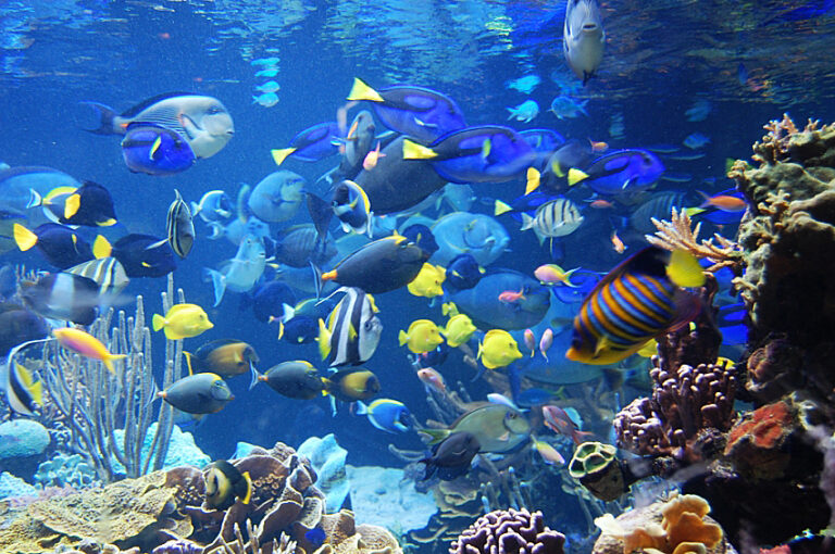 Ushaca Ras uShaka Marine World - Museum Explorer SA