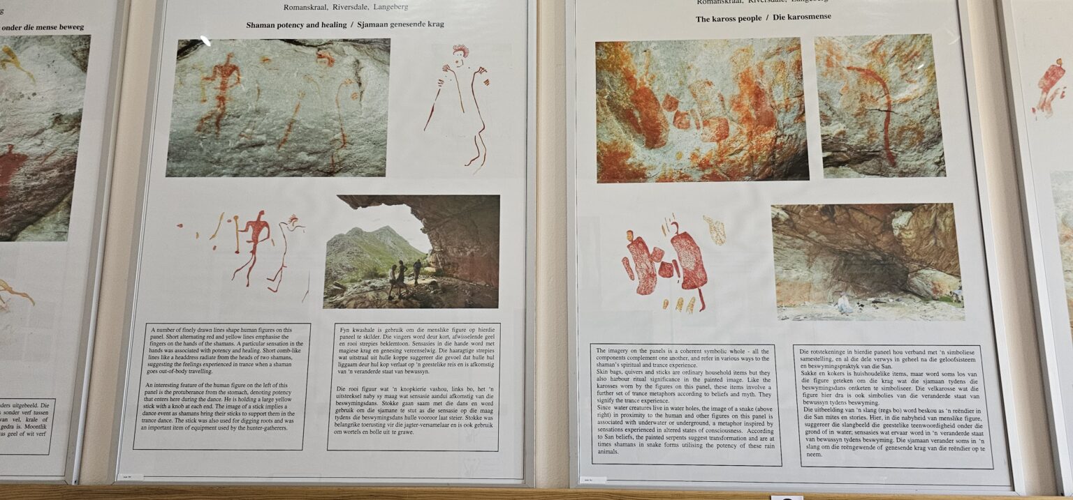 Tic Shells Blombos Museum of Archaeology - Museum Explorer SA